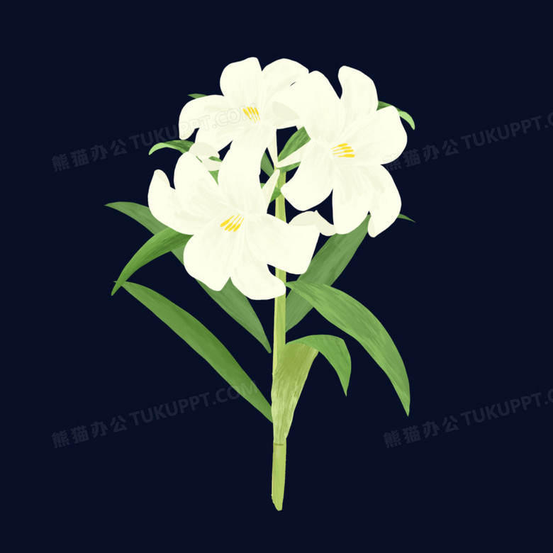 手绘写实白色水仙花png图片素材下载 素材png 熊猫办公
