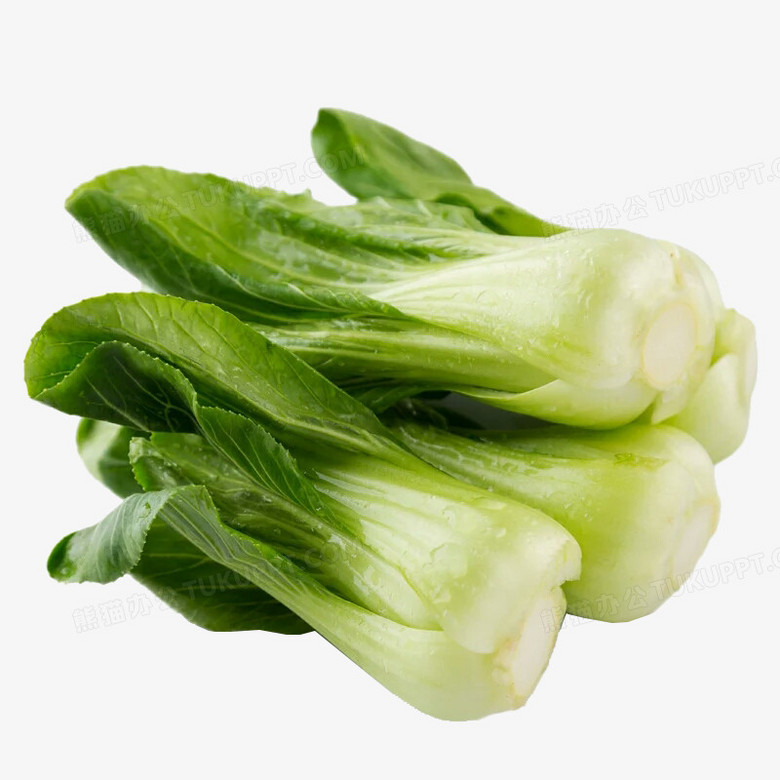 上海青png图片素材下载 素材png 熊猫办公