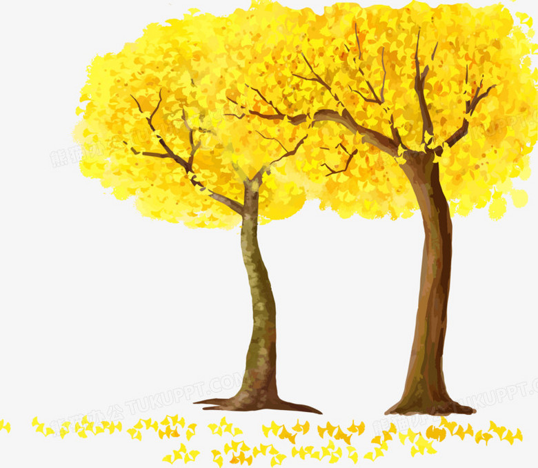 ʸֻ＾ɫز