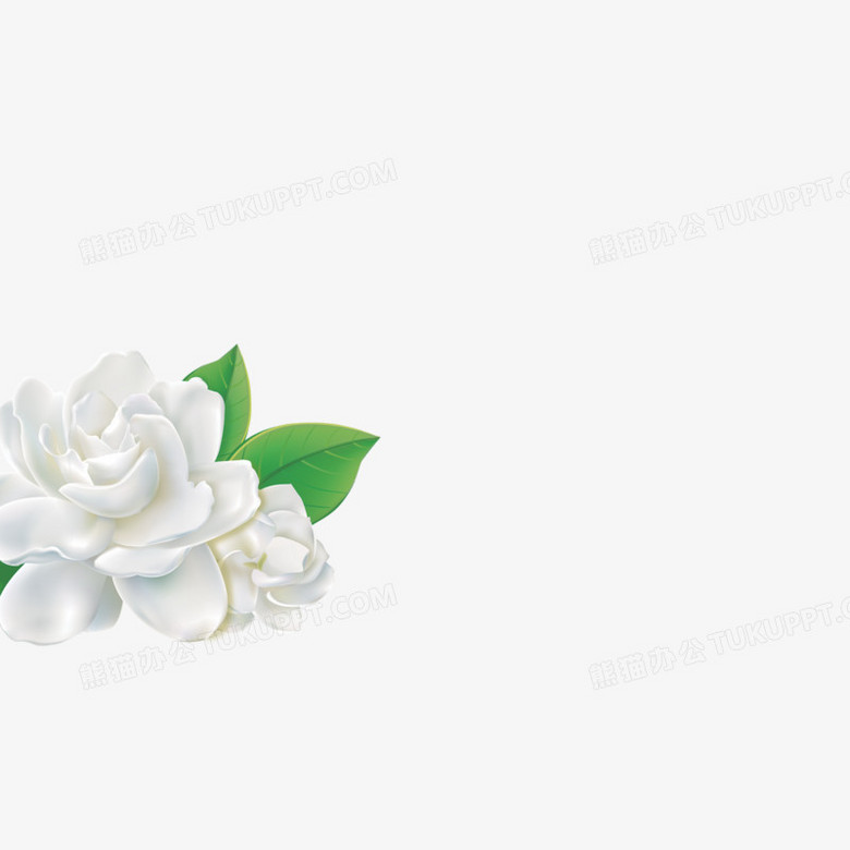 白莲花png图片素材免费下载 白莲花png 3402 3402像素 熊猫办公 白莲花png图片素材免费下载 白莲花png 3402 3402像素 熊猫办公