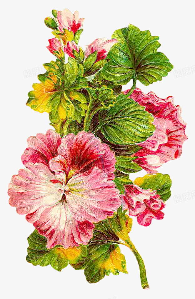 复古花卉植物png图片素材下载_复古png_熊猫办公