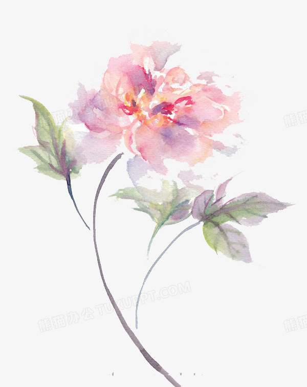 水彩花png图片素材免费下载 素材png 600 756像素 熊猫办公 水彩花png图片素材免费下载 素材png 600 756像素 熊猫办公