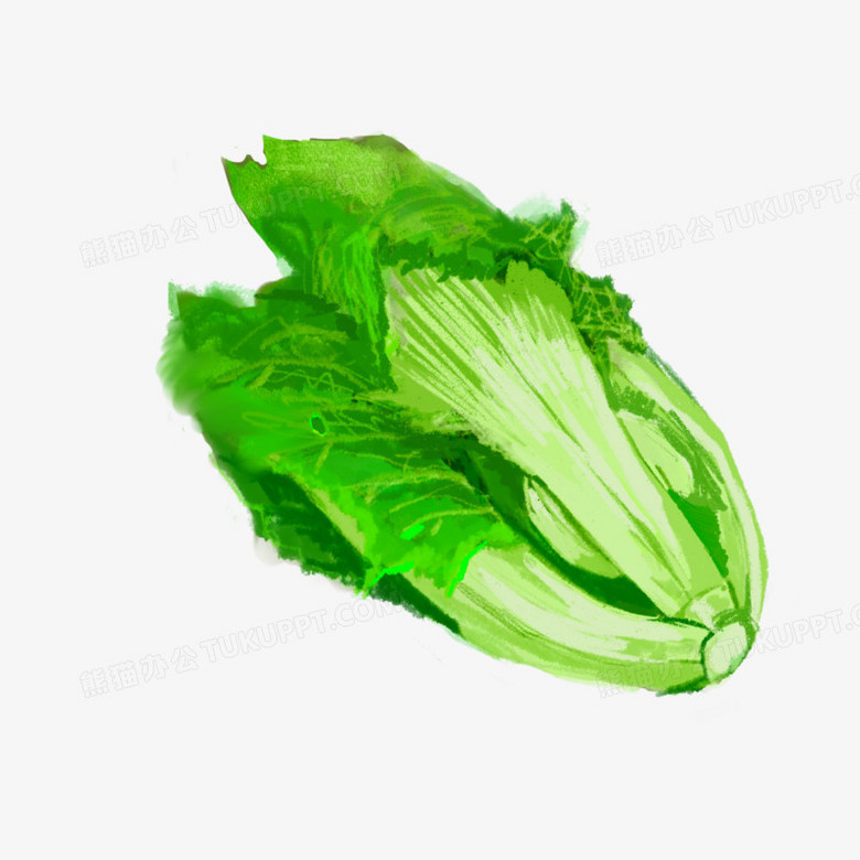 手绘新鲜芥菜素材