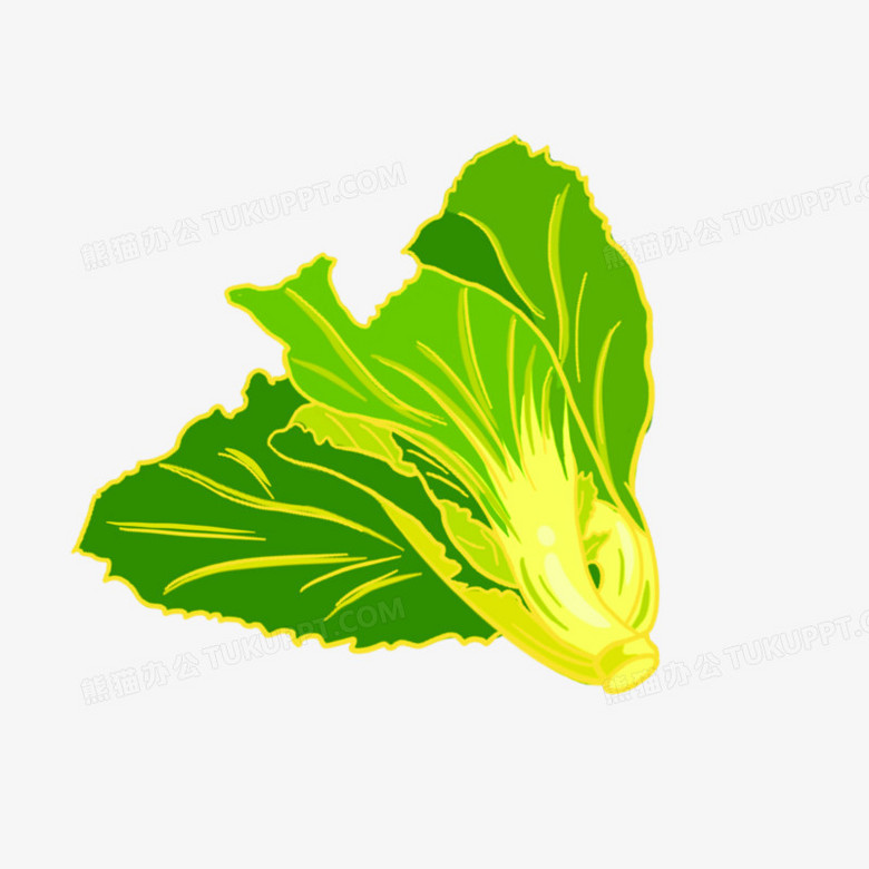 卡通健康蔬菜芥菜素材