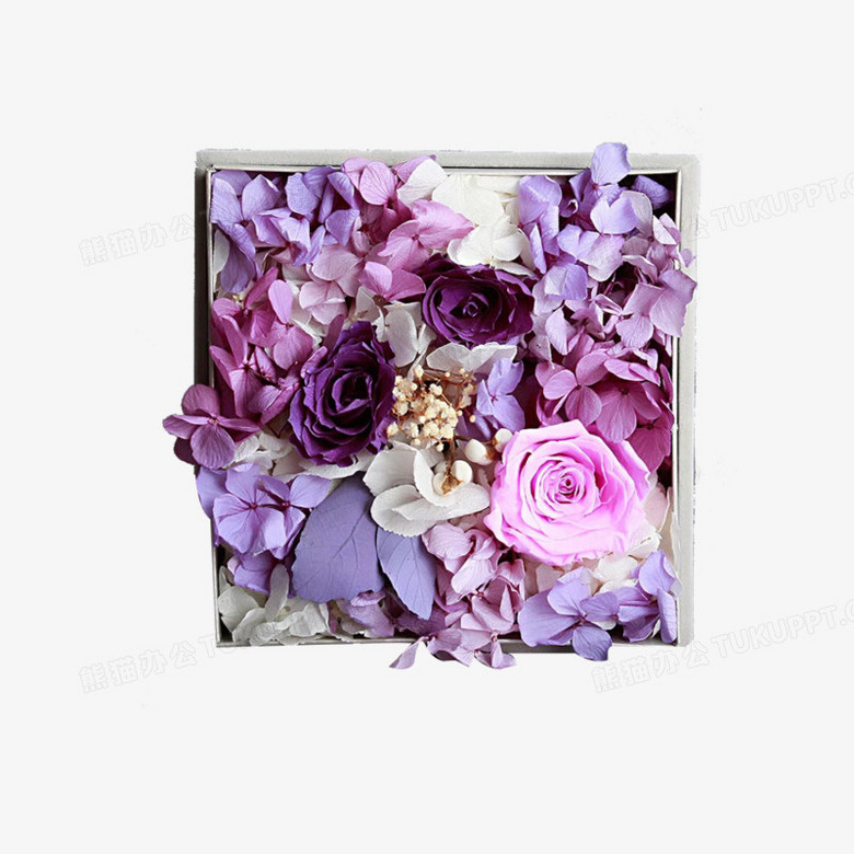 紫色永生花png图片素材免费下载 紫色png 852 852像素 熊猫办公