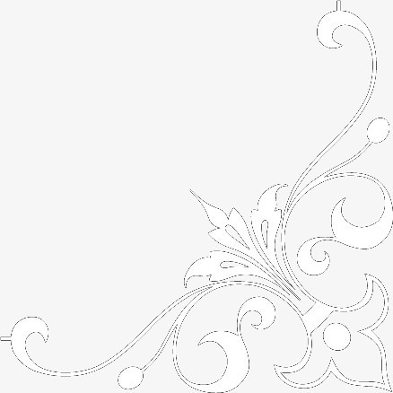 白色手绘花纹边纹