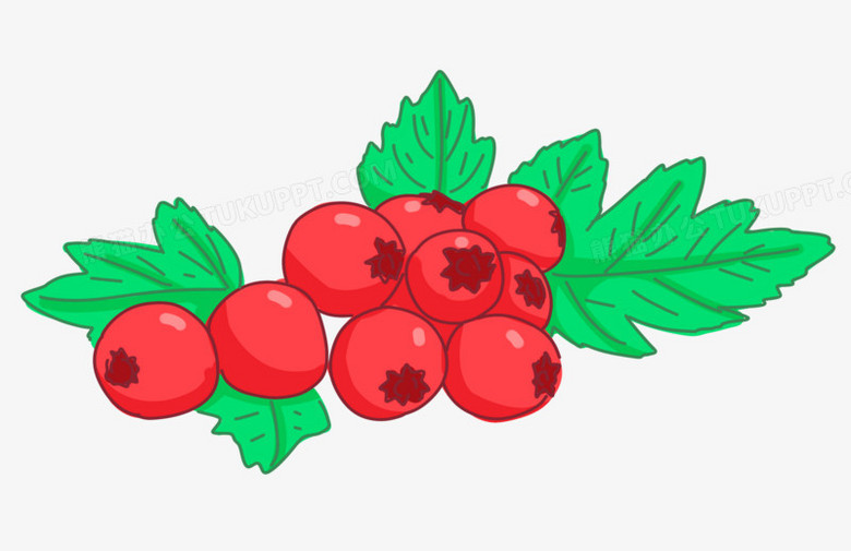 手绘卡通山楂植物免抠素材