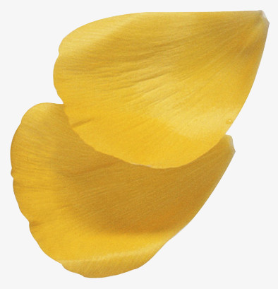 花瓣图形玫瑰花瓣png图片素材下载_玫瑰png_熊猫办公