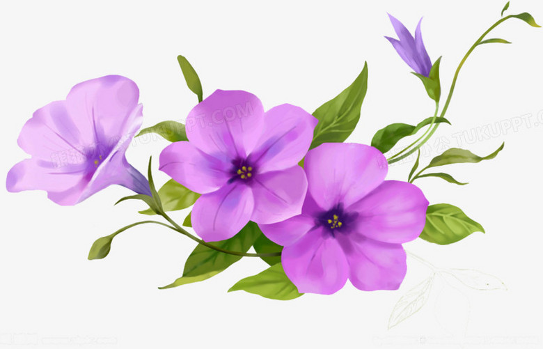 紫色唯美花朵花藤png图片素材下载