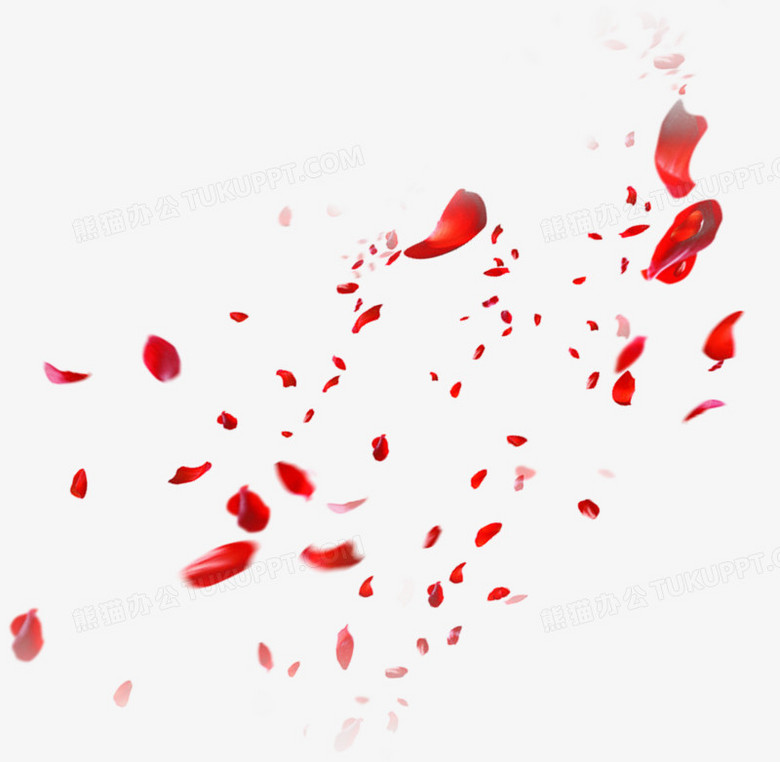 漂浮玫瑰花瓣png图片素材下载 花瓣png 熊猫办公