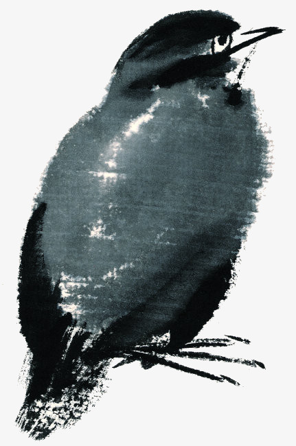 本作品内容为鸟格式为png大小1mb图片尺寸为800x1837作品中png图片为