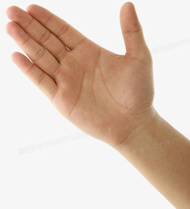 伸开右手心PNG图片素材下载_右手PNG_熊猫办公