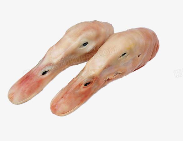 本作品内容为免抠素材鸭头图片,           