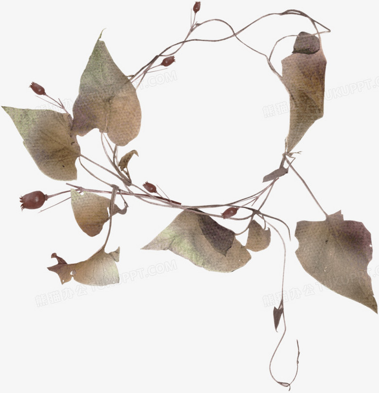 枯枝枯叶png图片素材免费下载 枯枝png 1703 1767像素 熊猫办公