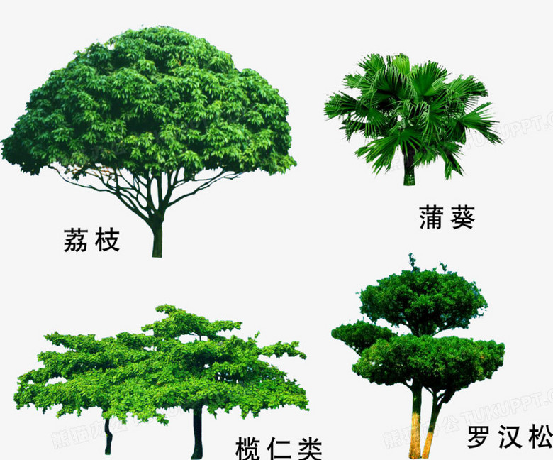 ԰ֲľز