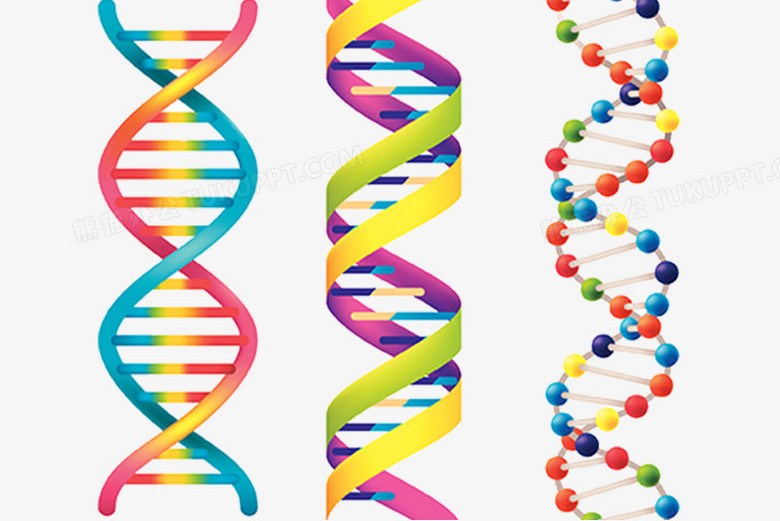 dna结构PNG图片素材下载_dna结构PNG_熊猫办公