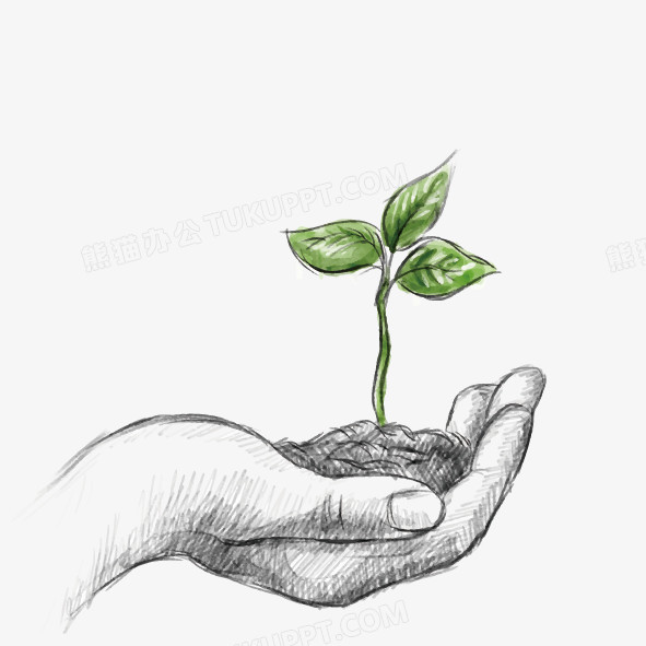 矢量手绘手和小苗