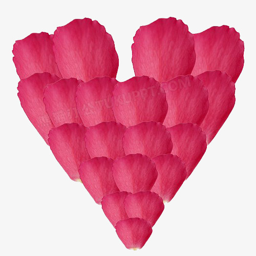 创意心形玫瑰花瓣