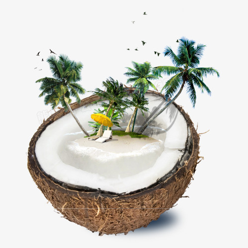 椰树椰子