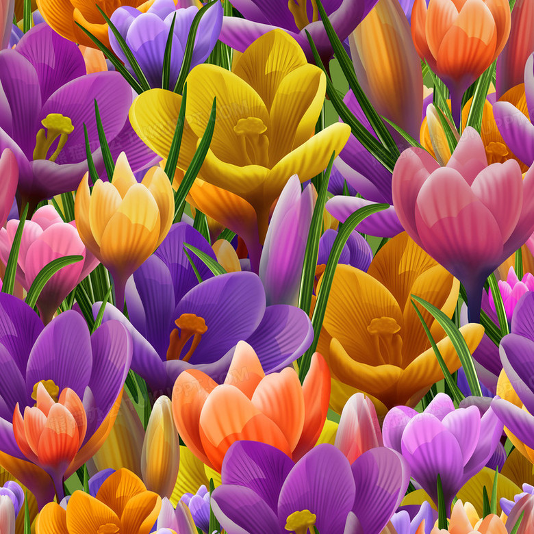 鲜花底纹背景png图片素材下载_鲜花png_熊猫办公