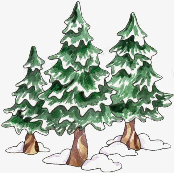 水彩松树png图片素材下载_水彩png_熊猫办公