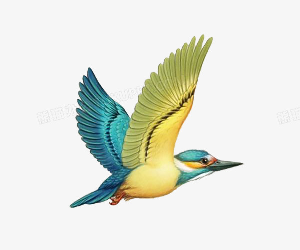 3d飞鸟png图片素材下载_飞鸟png_熊猫办公