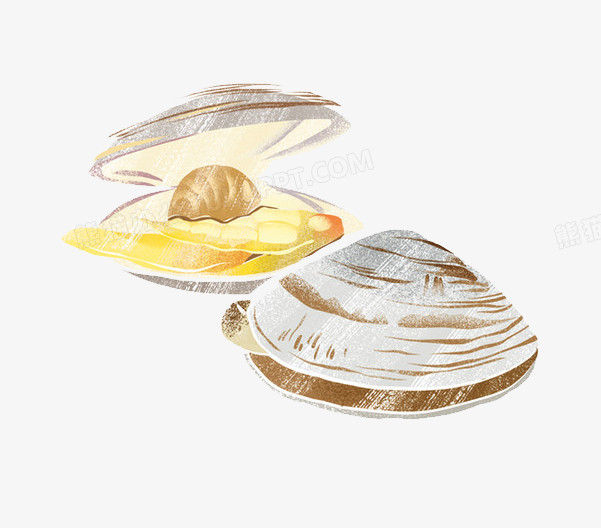 本作品全称为《彩色卡通风两个蛤蜊创意元素》,使用adobe illustrator