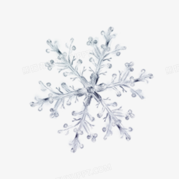 冬季冰雪花装饰图案元素