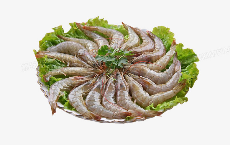 ϺpngͼƬز_Ϻpng_è칫