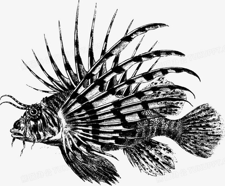 矢量手绘远古怪鱼