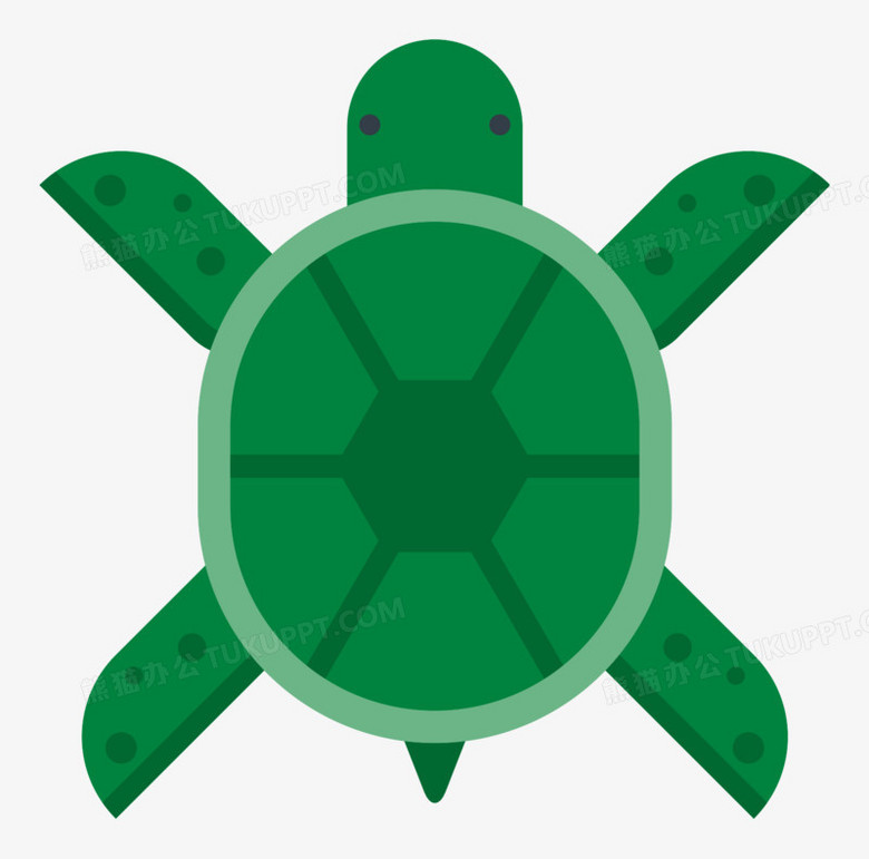 乌龟PNG图片素材下载_乌龟PNG_熊猫办公