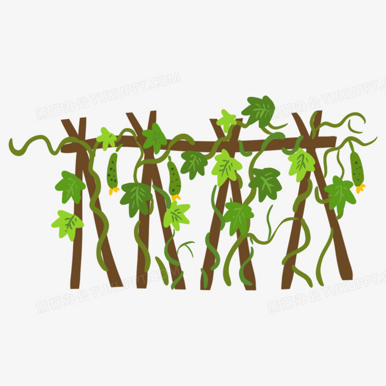 卡通手绘免抠黄瓜藤元素