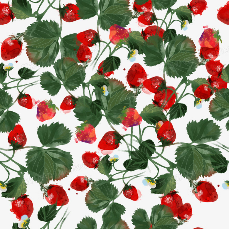 水彩草莓底纹png图片素材下载 底纹png 熊猫办公