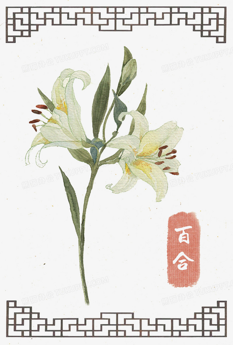 百合花png图片素材免费下载 百合花png 1024 1516像素 熊猫办公 百合花png图片素材免费下载 百合花png 1024 1516像素 熊猫办公