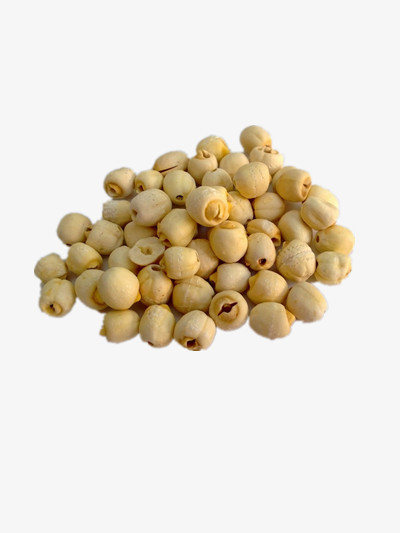 莲子png图片素材下载_莲子png_熊猫办公