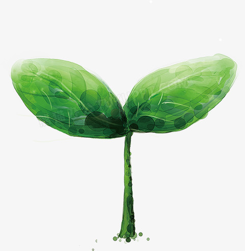 绿色圆点小草发芽