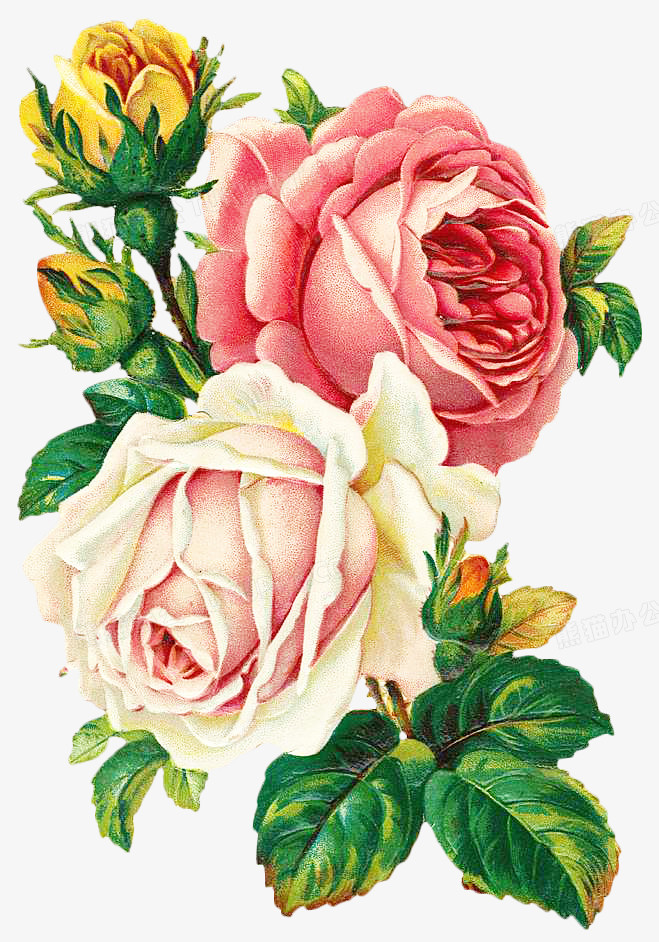 文徵明：山水花卉书画合璧册