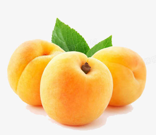 新鲜黄桃水果png图片素材下载_水果png_熊猫办公