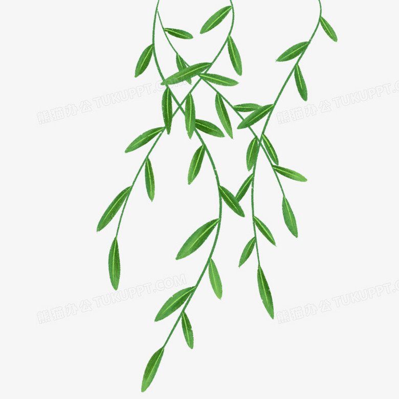 手绘插画风简约漂浮的柳叶免抠元素