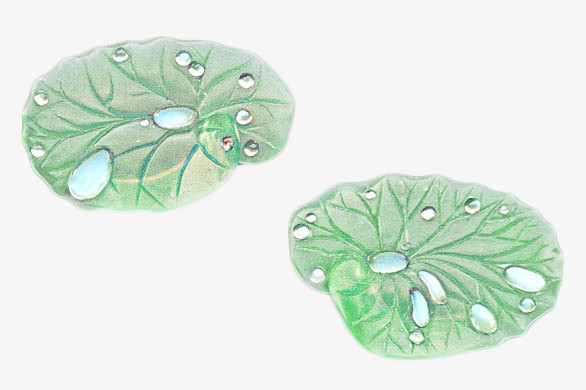 荷叶手绘荷叶露珠