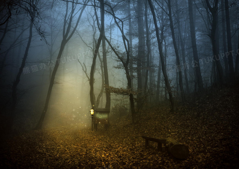 深山老林高清壁纸