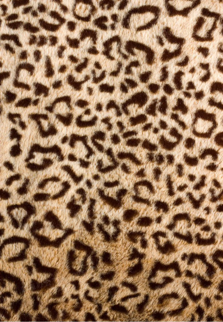 豹纹布料