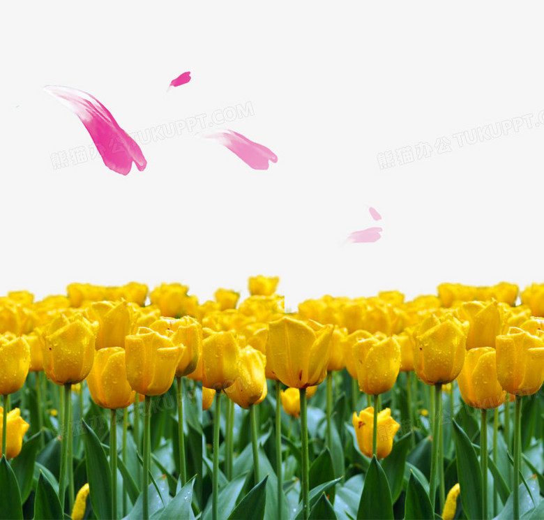 花田png图片素材下载 花田png 熊猫办公