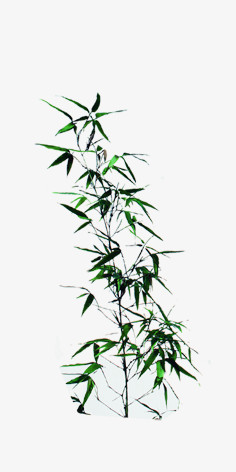 水墨绿色竹子png图片素材下载_水墨png_熊猫办公