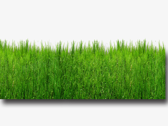草坪png图片素材下载_草坪png_熊猫办公