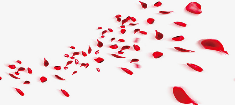 散落玫瑰花瓣七夕png图片素材下载_花瓣png_熊猫办公