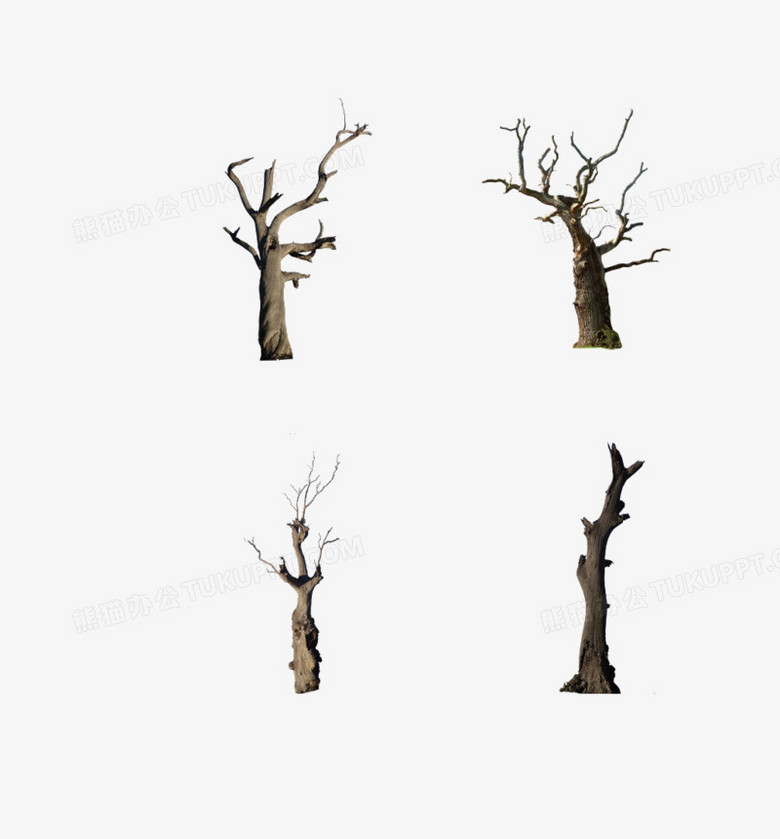 枯木png图片素材下载 枯木png 熊猫办公