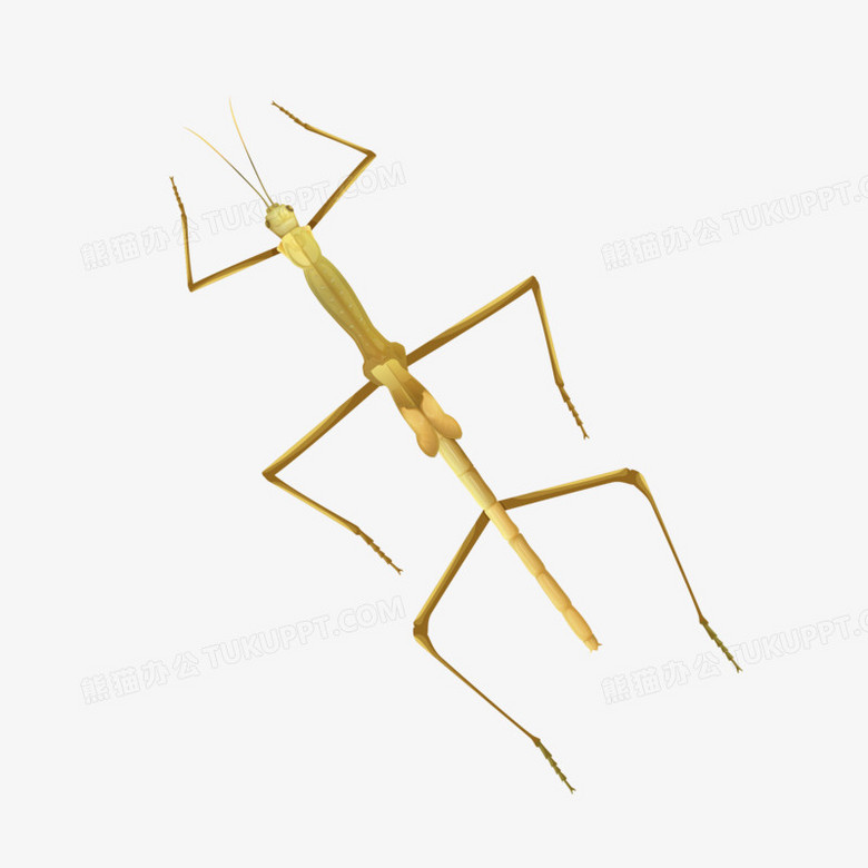 卡通褐色矢量害虫竹节虫素材