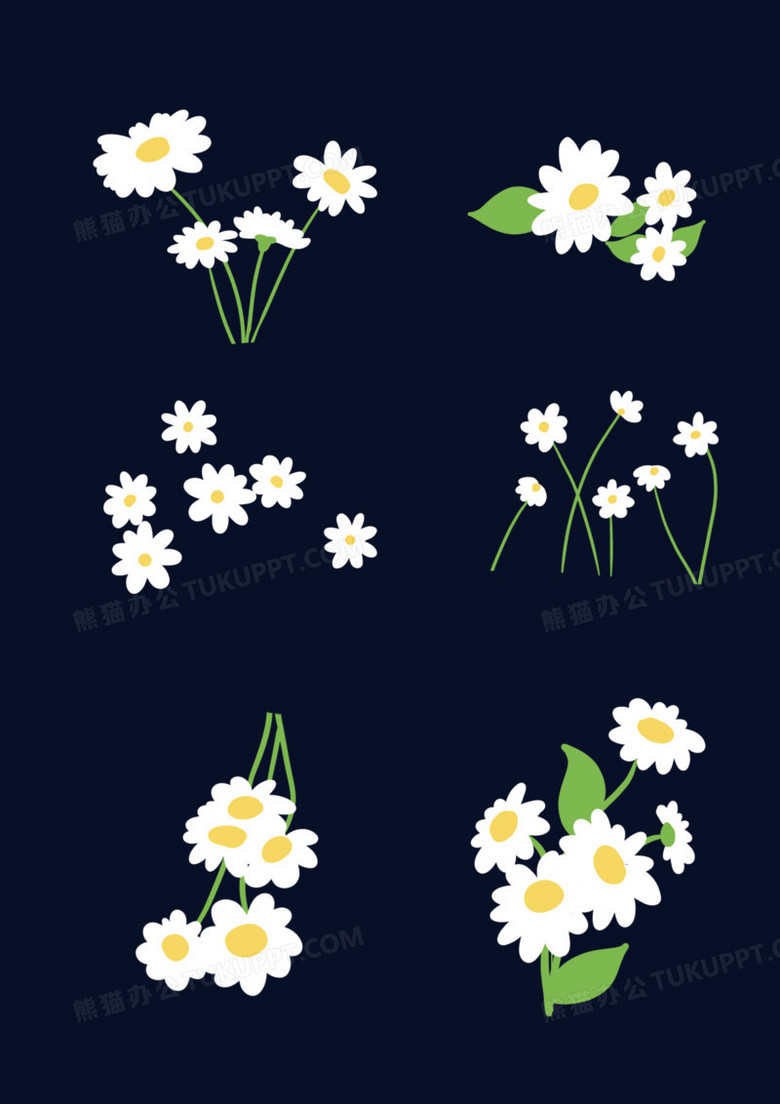 一组小雏菊合集免抠素材