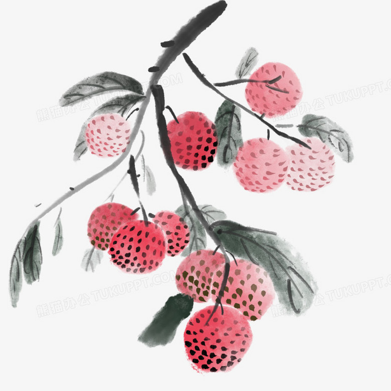 手绘水墨风一串荔枝免抠元素